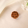 Rudraksha