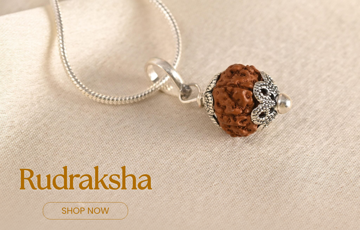 12 mukhi rudraksha