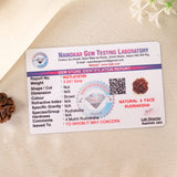 4 Mukhi Rudraksha
