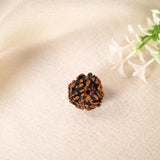 3 Mukhi Rudraksha