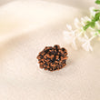 3 Mukhi Rudraksha