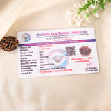 3 Mukhi Rudraksha