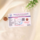 9 Face Rudraksha (Indonesian)