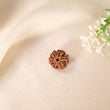 6 Face Rudraksha (Nepal)