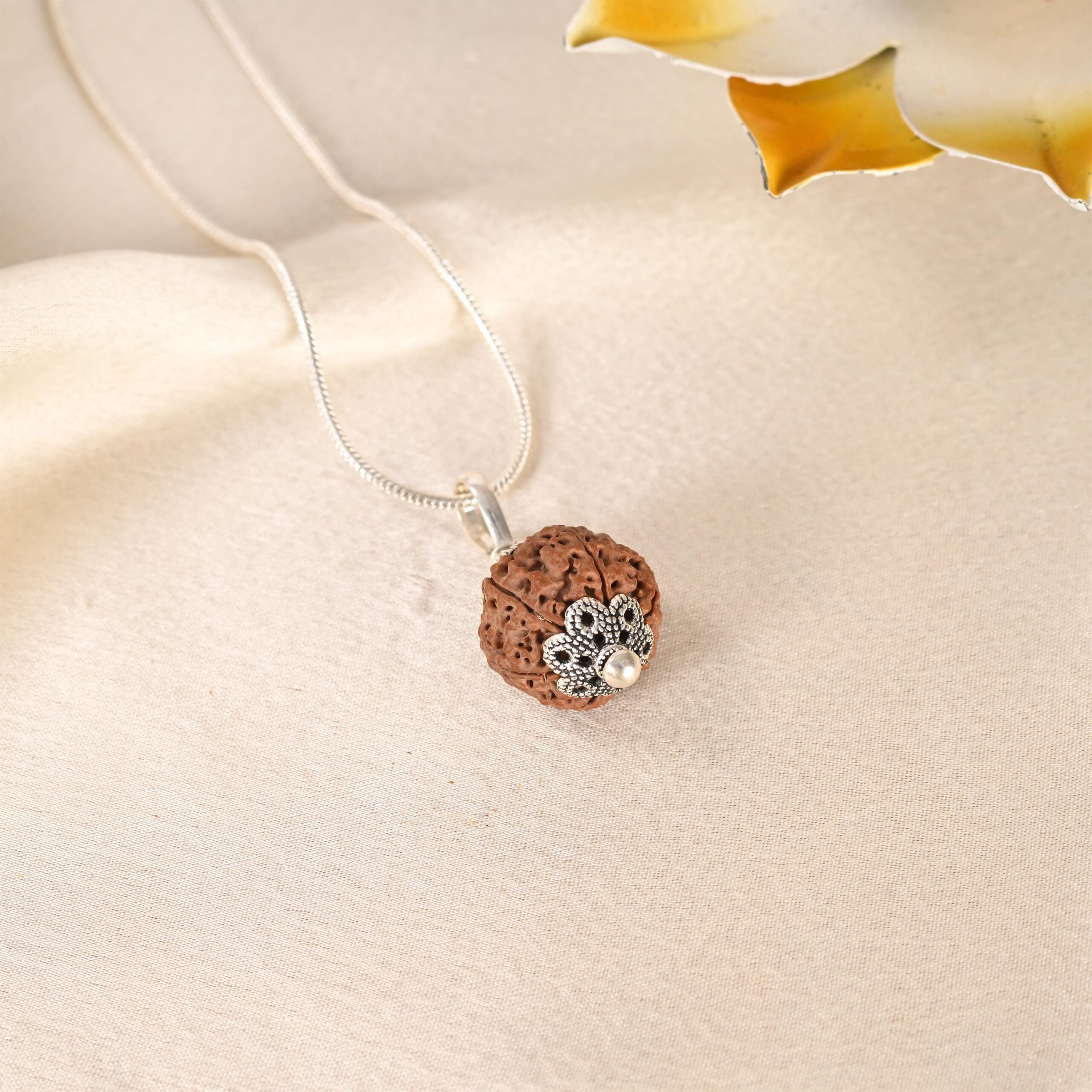 6 Face Rudraksha (Nepal)