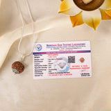 6 Face Rudraksha (Nepal)