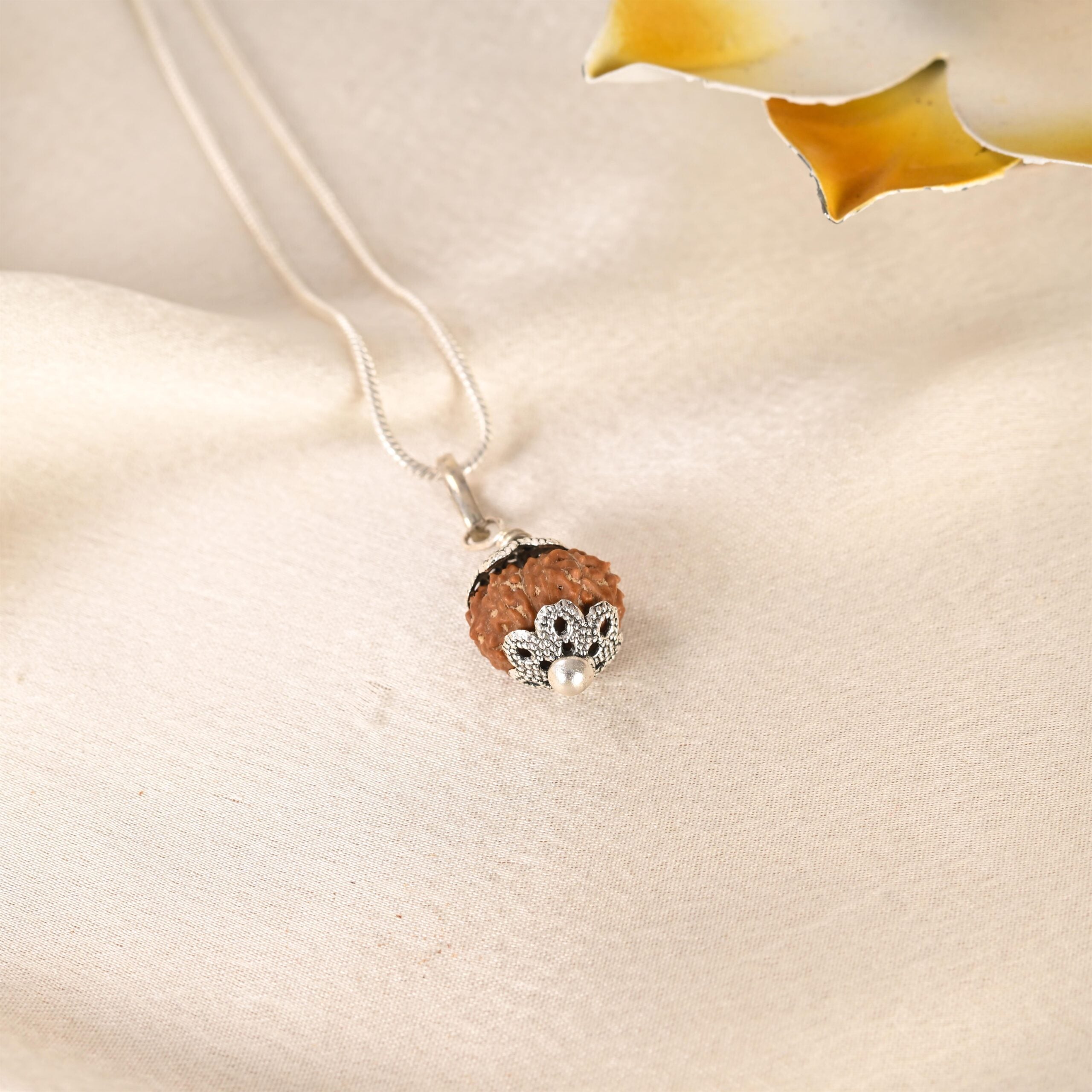 10 Face Rudraksha (Indonesian)