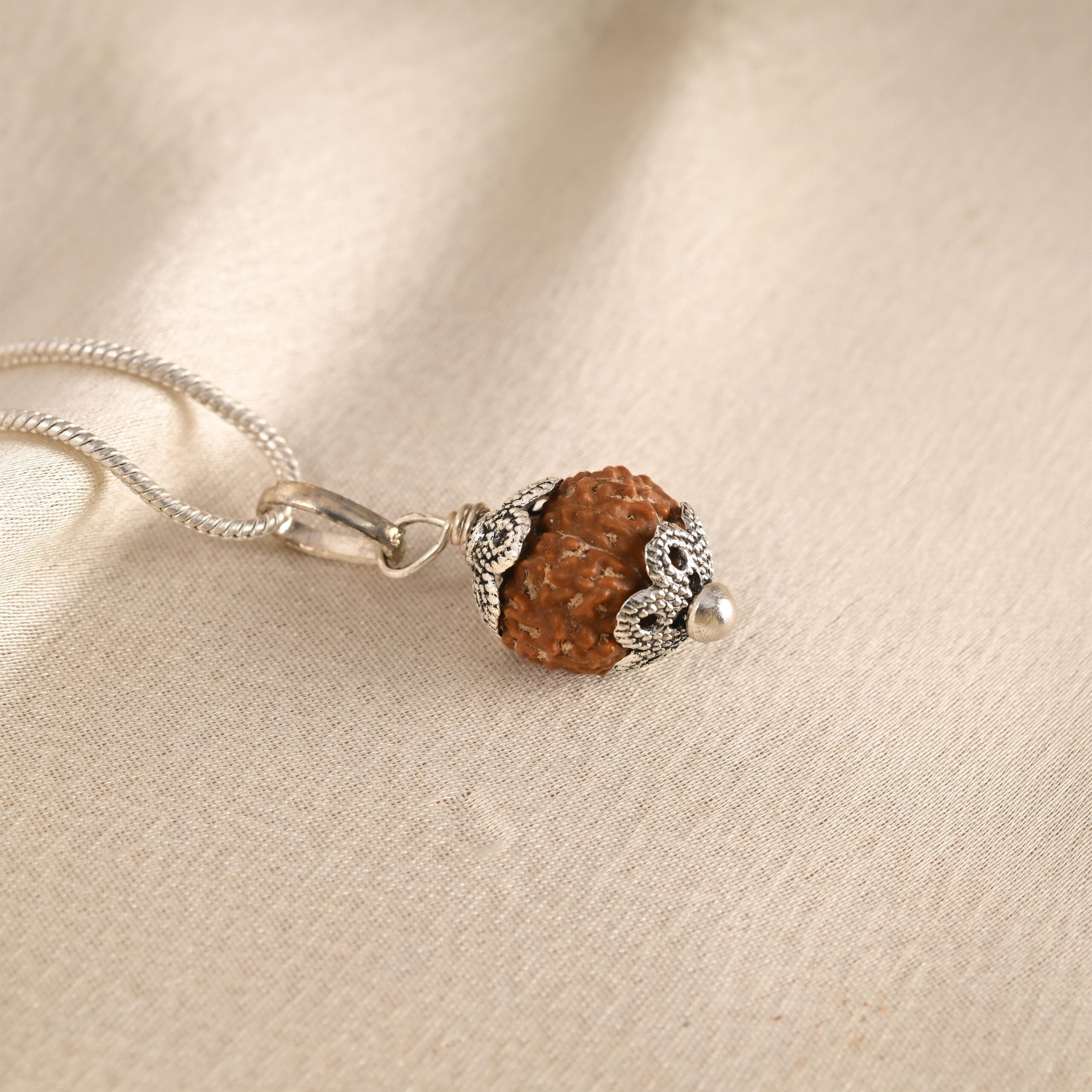 10 Face Rudraksha (Nepal)