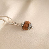 10 Face Rudraksha (Nepal)
