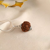 7 Face Rudraksha (Nepal)