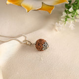 8 Face Rudraksha (Nepal)