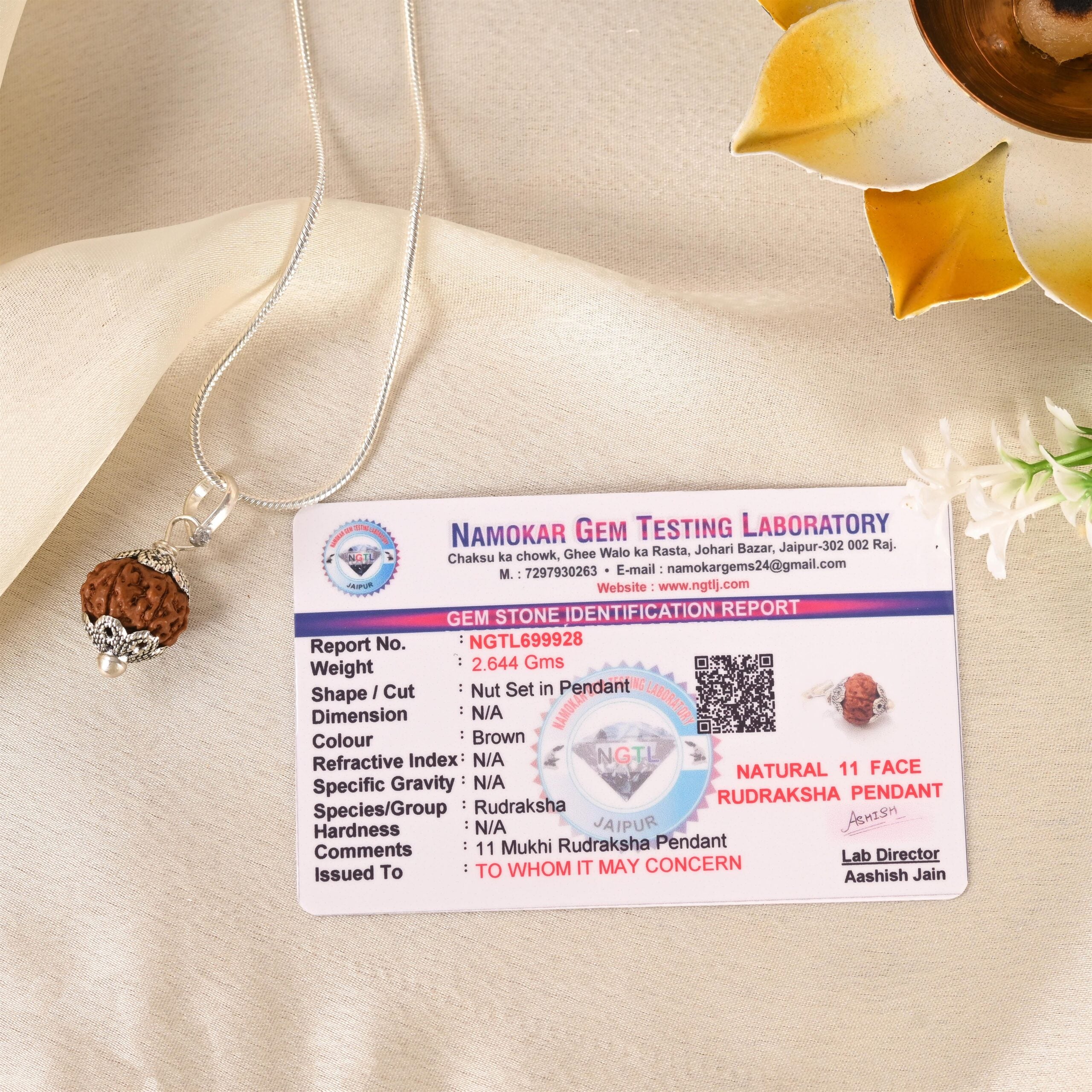 11 Face Rudraksha (Indonesian)