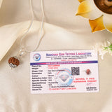 11 Face Rudraksha (Indonesian)