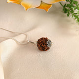4 Mukhi Rudraksha