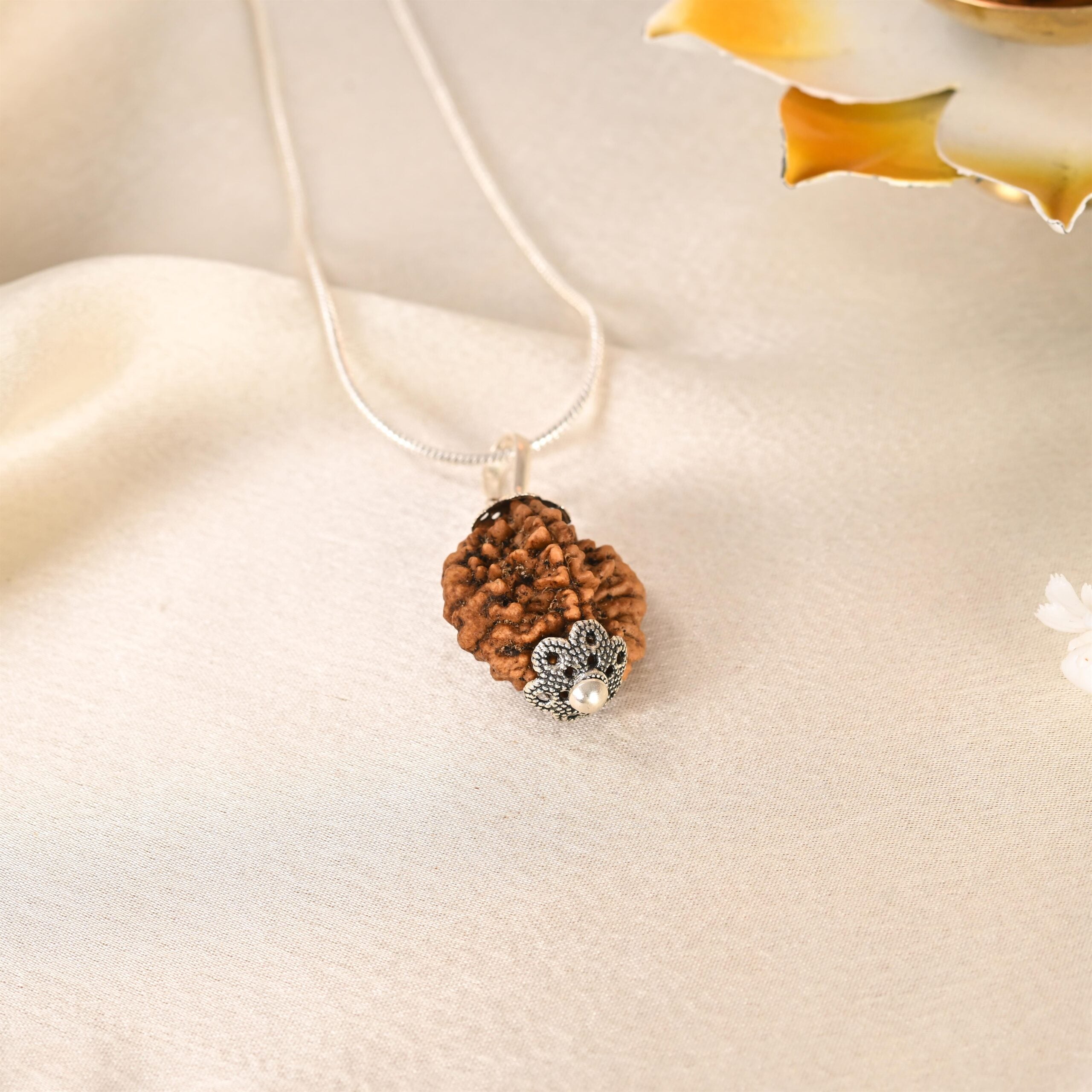 2 Mukhi Rudraksha