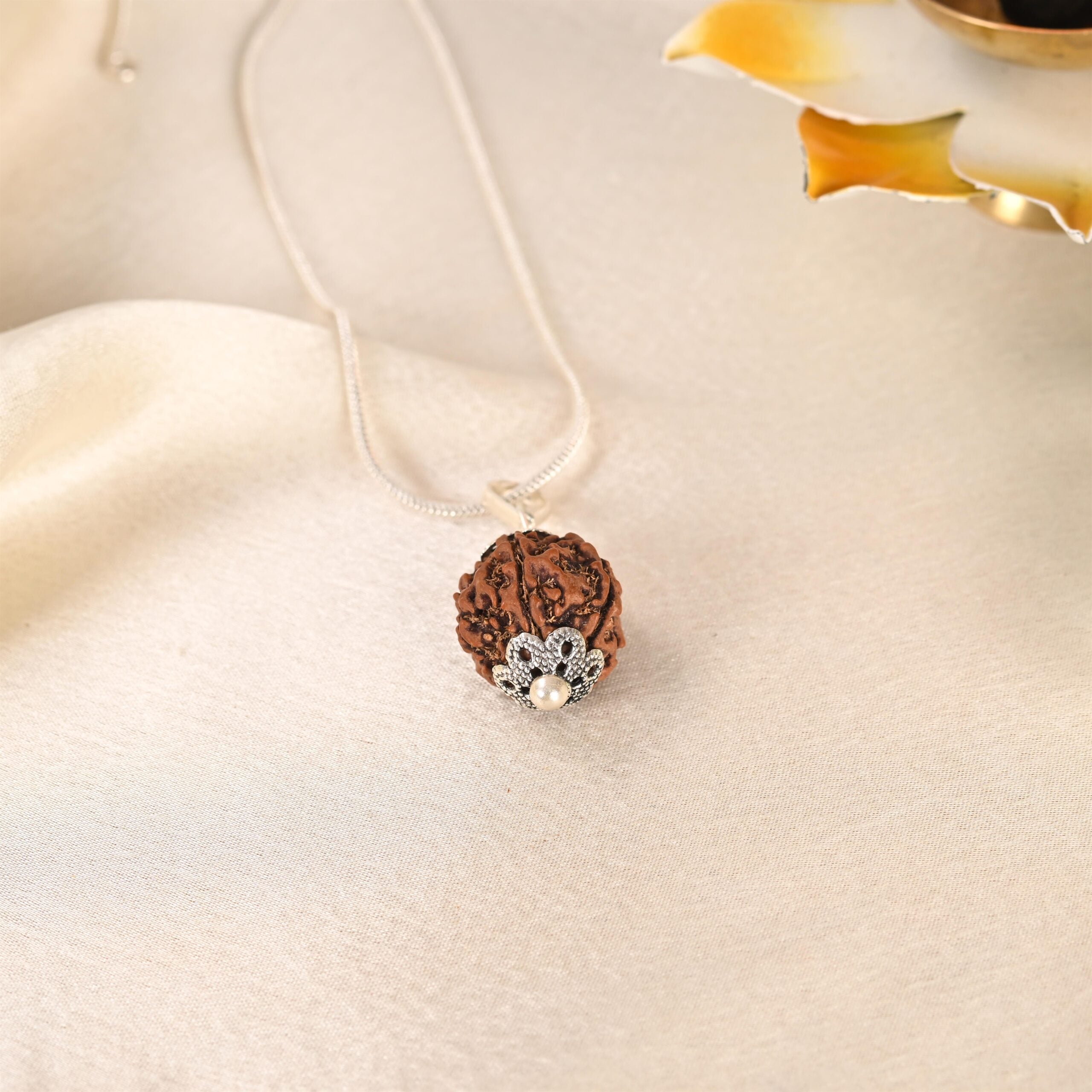 5 Face Rudraksha