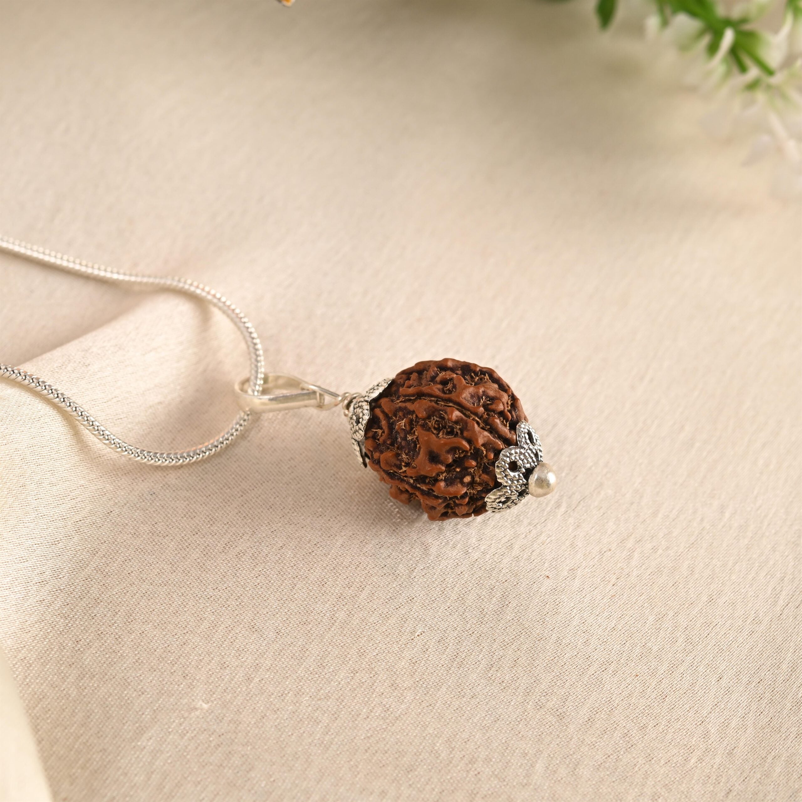 5 Face Rudraksha