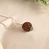 5 Face Rudraksha