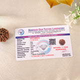 7 Face Rudraksha (Nepal)