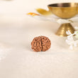 9 Face Rudraksha (Nepal)
