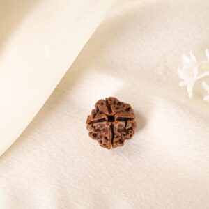 4 Mukhi Rudraksha