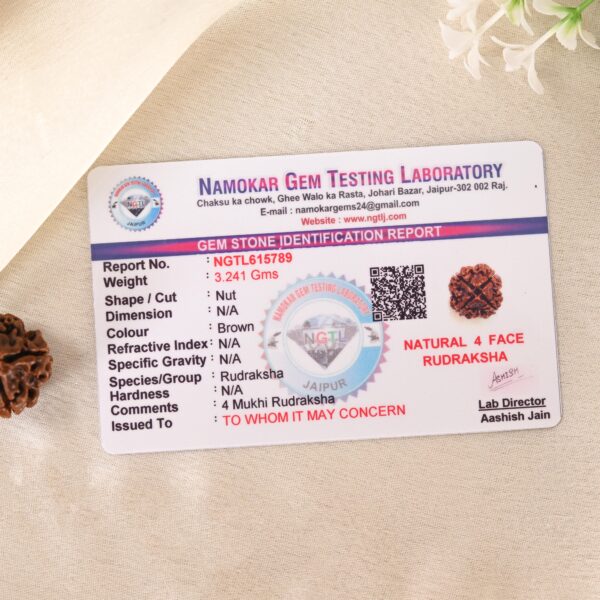 4 Mukhi Rudraksha - Image 6