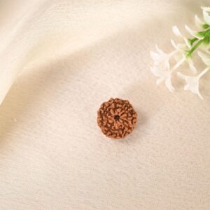9 Face Rudraksha (Indonesian)