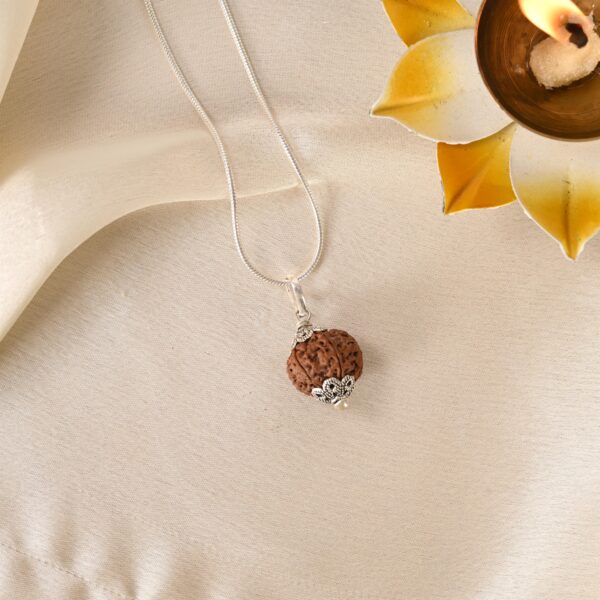 6 Face Rudraksha (Nepal) - Image 5