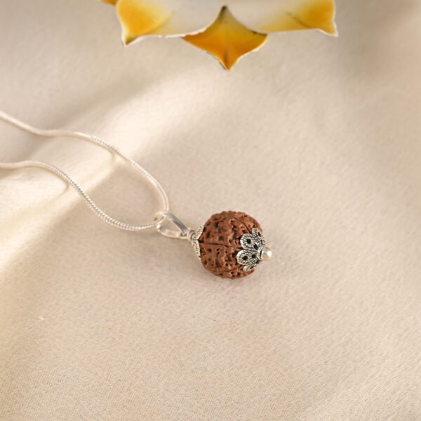 6 Face Rudraksha (Nepal) - Image 4