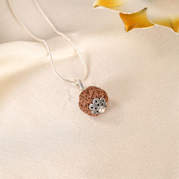 6 Face Rudraksha (Nepal) - Image 3
