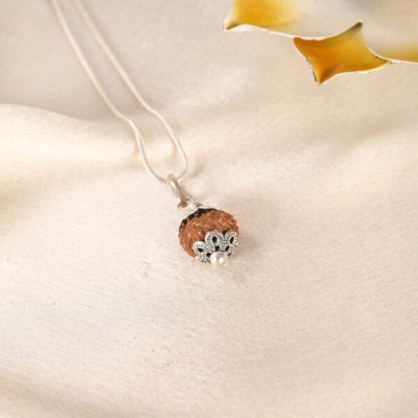 10 Face Rudraksha (Indonesian) - Image 3