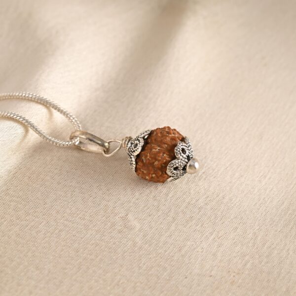 10 Face Rudraksha (Nepal) - Image 5