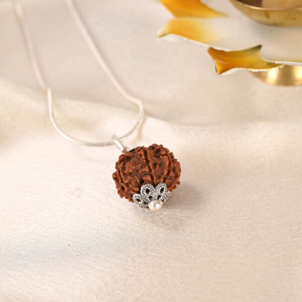 7 Face Rudraksha (Nepal) - Image 5