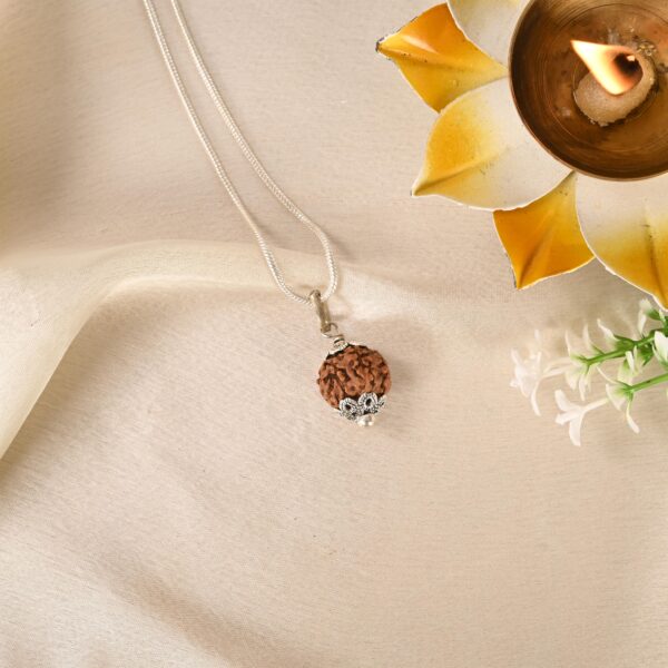 8 Face Rudraksha (Indonesian) - Image 4