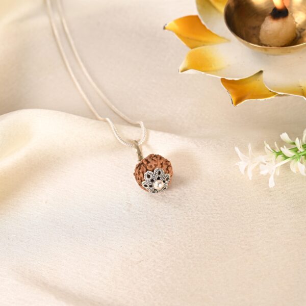 8 Face Rudraksha (Indonesian) - Image 3