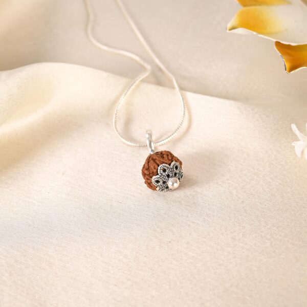 11 Face Rudraksha (Indonesian) - Image 3