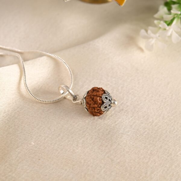 11 Face Rudraksha (Nepal) - Image 2