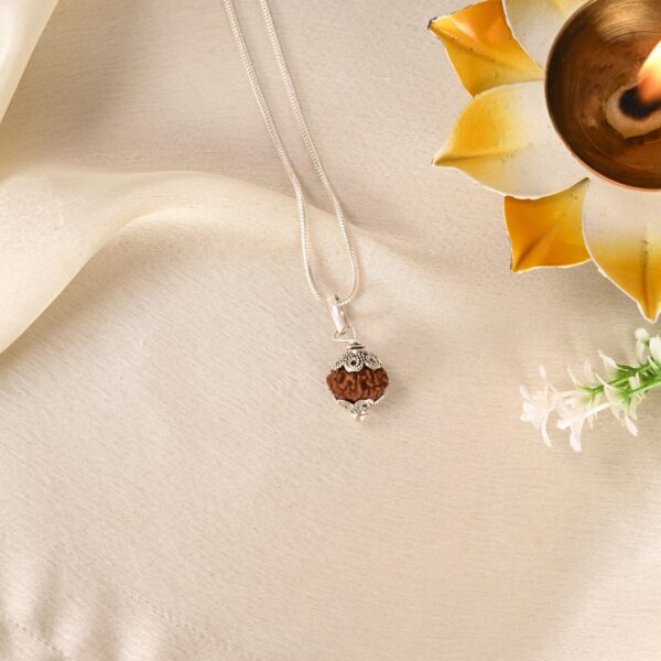 12 Face Rudraksha (Indonesian) - Image 3