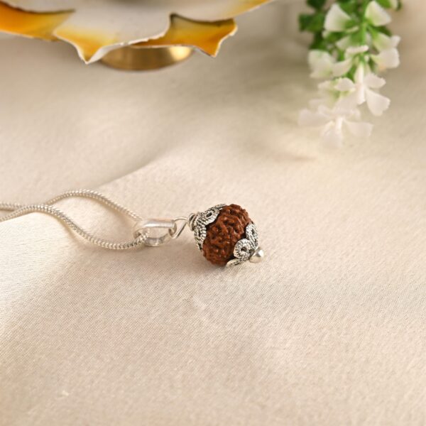 12 Face Rudraksha (Nepal) - Image 2