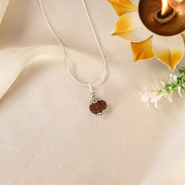9 Face Rudraksha (Indonesian) - Image 4