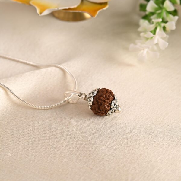 9 Face Rudraksha (Nepal) - Image 2