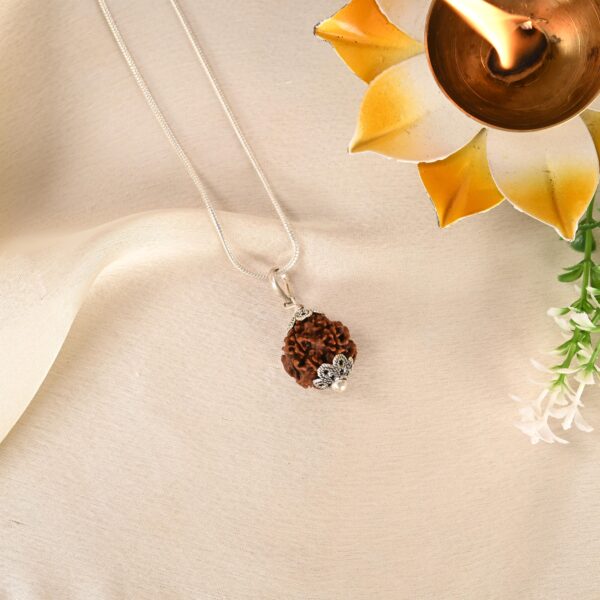 4 Mukhi Rudraksha - Image 5