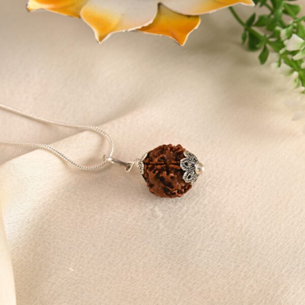 4 Mukhi Rudraksha - Image 3