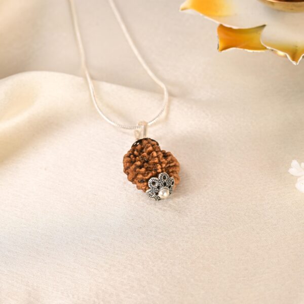 2 Mukhi Rudraksha - Image 4