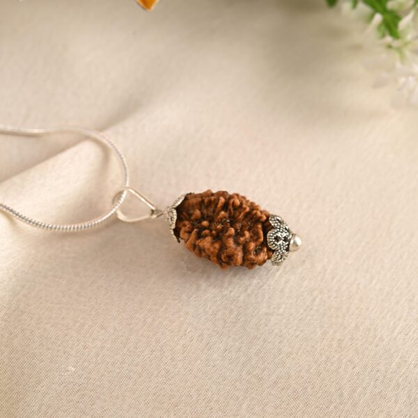 2 Mukhi Rudraksha - Image 3