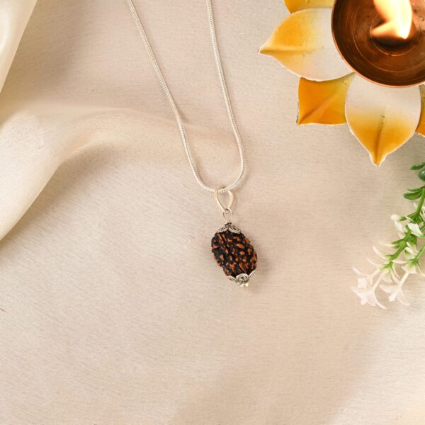 3 Mukhi Rudraksha - Image 4