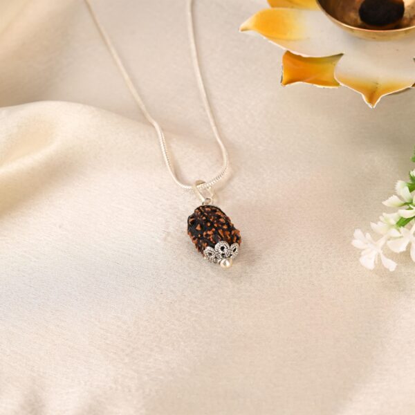 3 Mukhi Rudraksha - Image 3