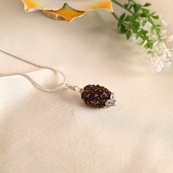 3 Mukhi Rudraksha - Image 2