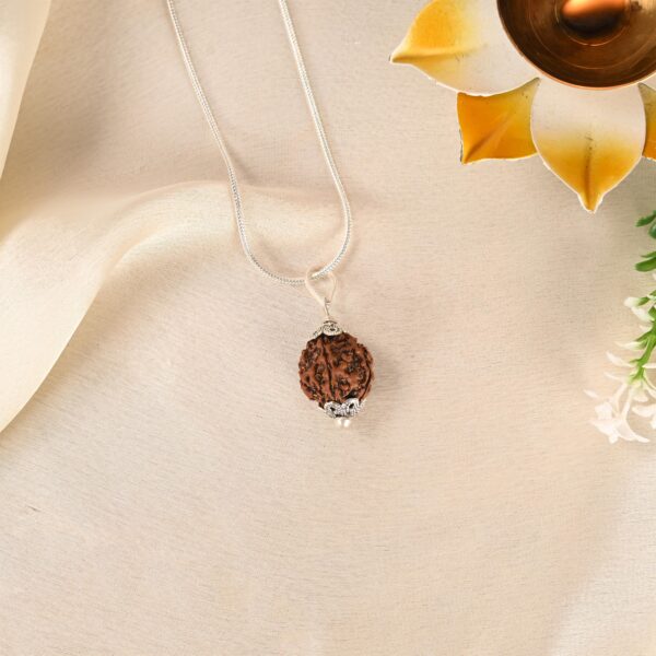 5 Face Rudraksha - Image 5