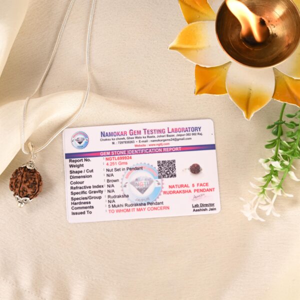 5 Face Rudraksha - Image 2